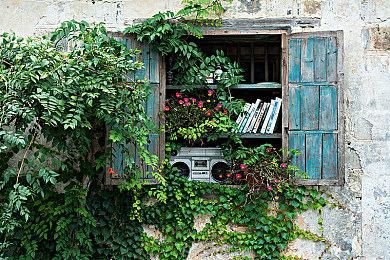 经营新作《Bulwark: Falconeer Chronicles》新预告